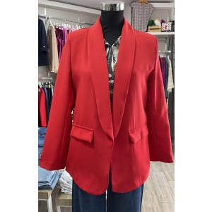 BLAZER ANA